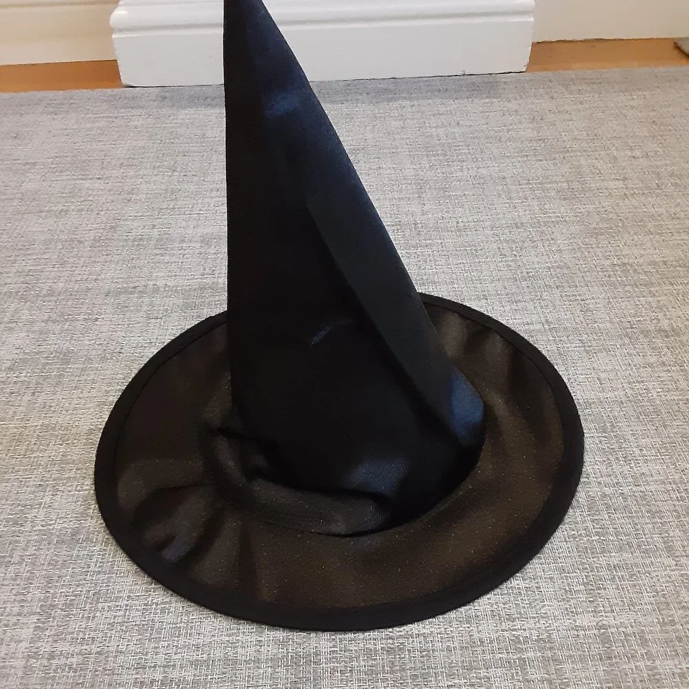 Wicked Witch with Wig Halloween costume- comes with extras